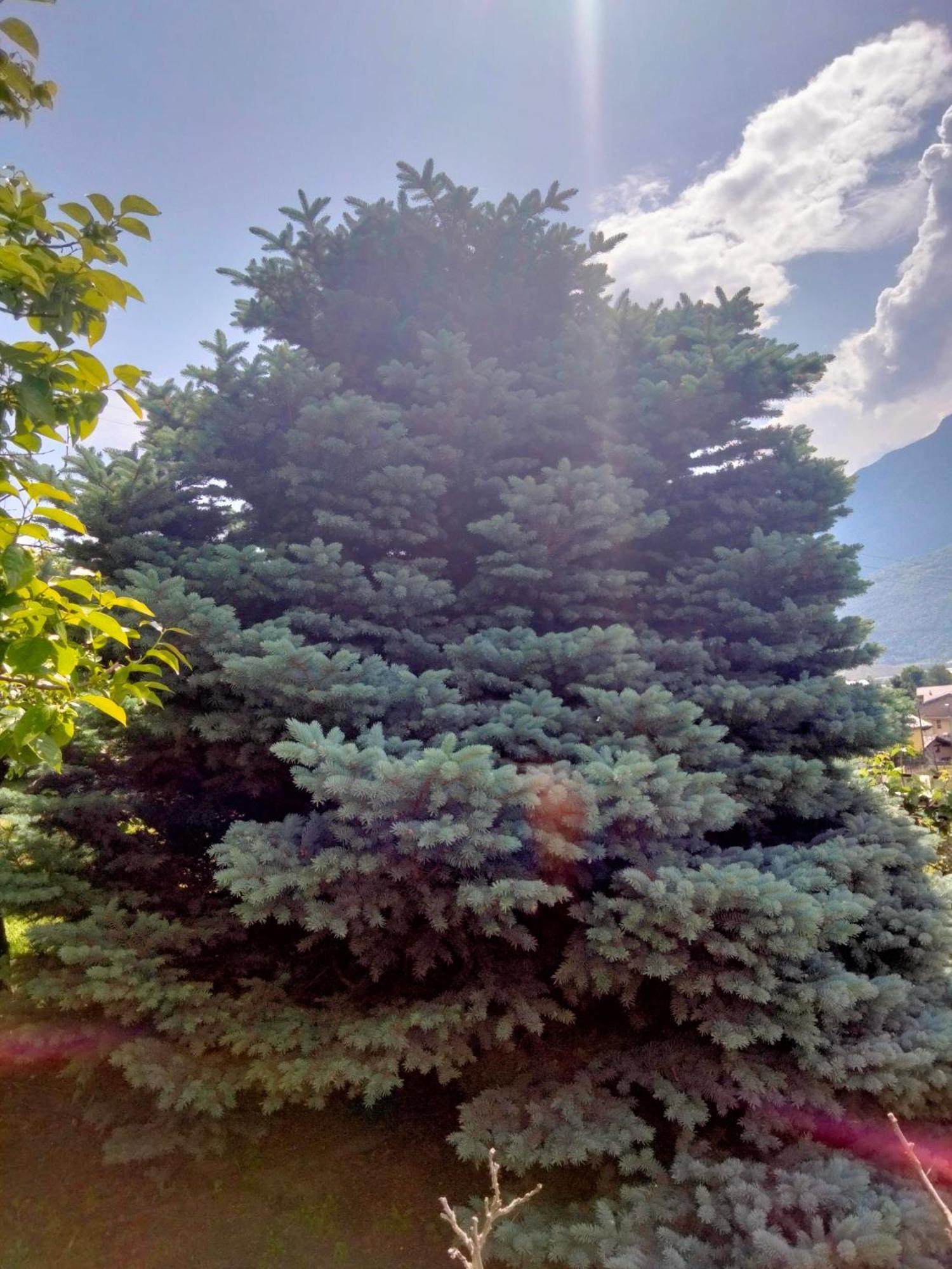 Grand Rive Bed and Breakfast Saint-Pierre Εξωτερικό φωτογραφία